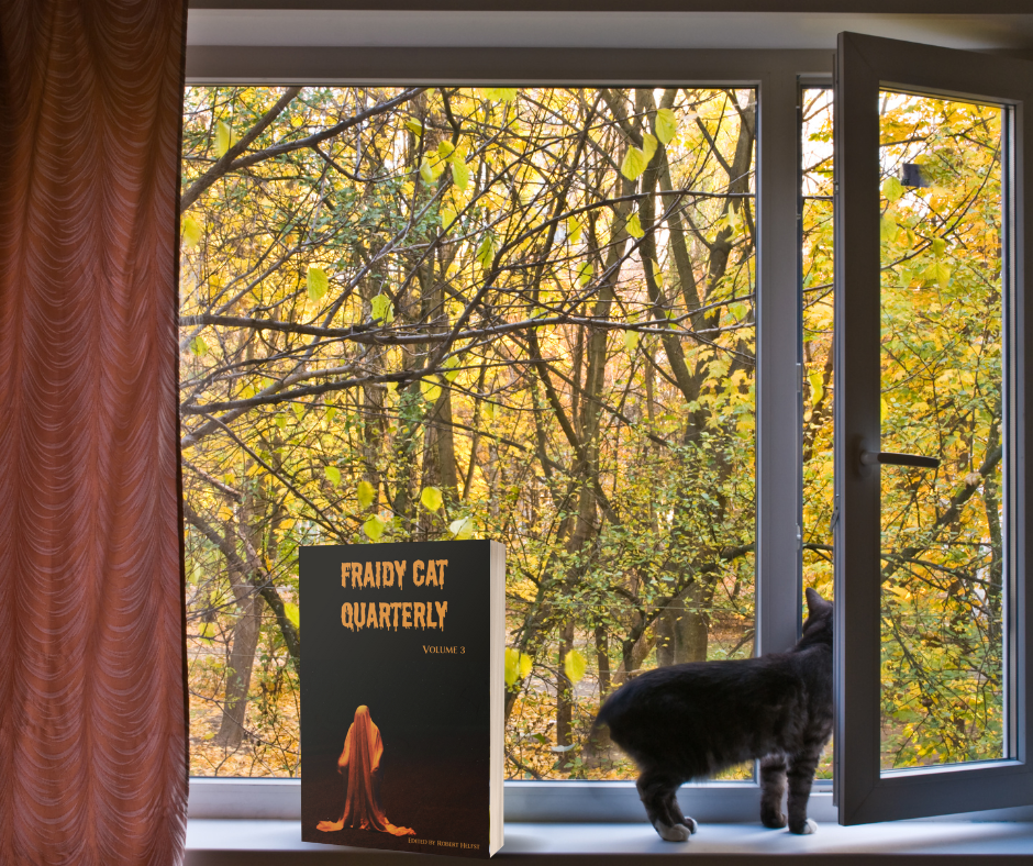 Fraidy Cat Quarterly: Volume 3 (includes ebook) image 4