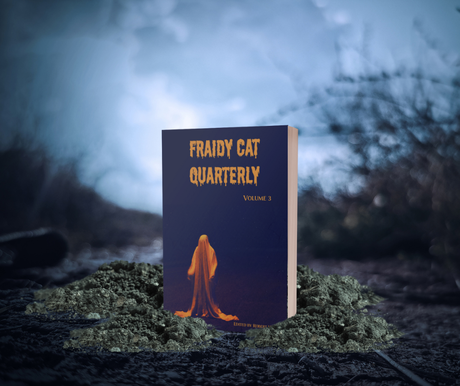 Fraidy Cat Quarterly: Volume 3 (includes ebook) image 0