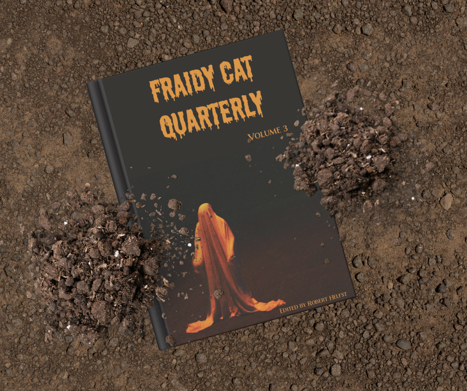 Fraidy Cat Quarterly: Volume 3 (includes ebook) image 2