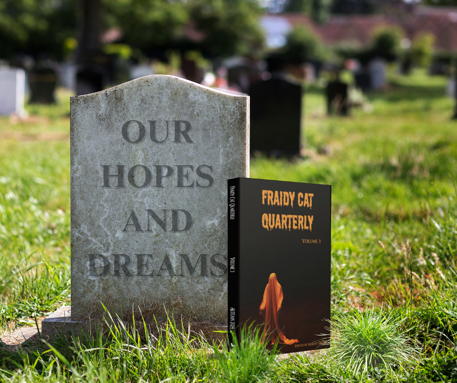 Fraidy Cat Quarterly: Volume 3 (includes ebook) image 5