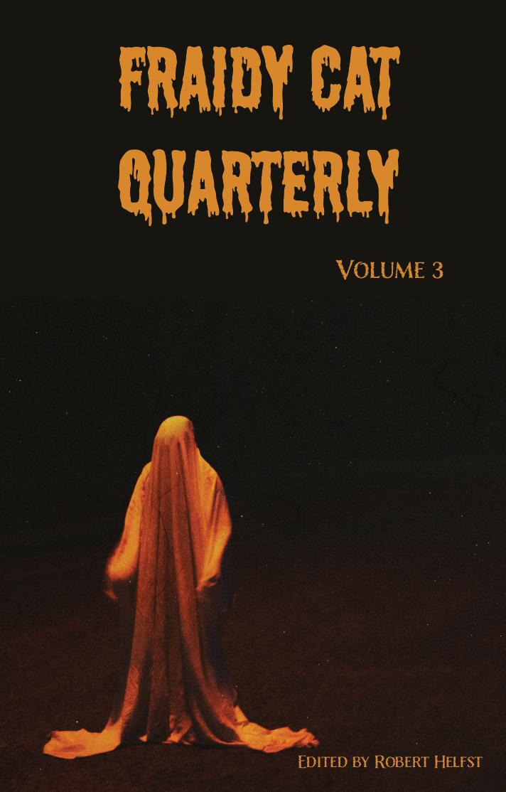 Fraidy Cat Quarterly: Volume 3 (includes ebook) image 11