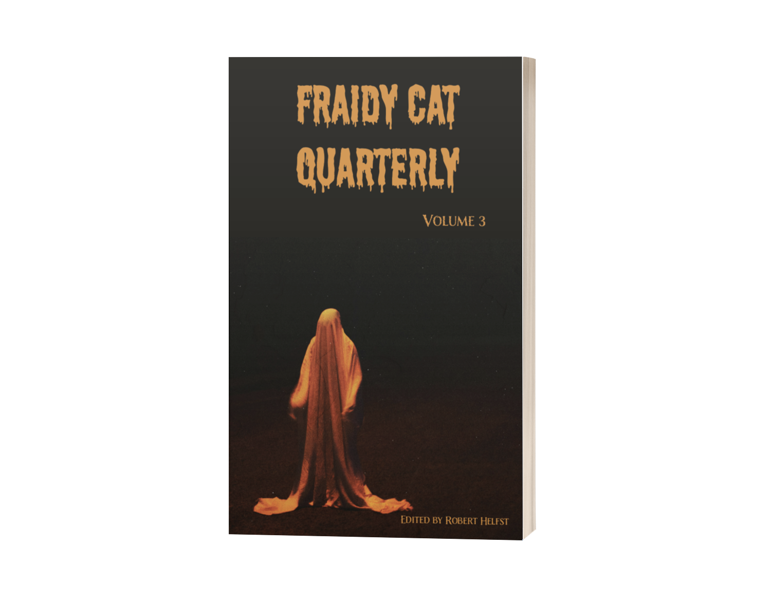 Fraidy Cat Quarterly: Volume 3 (includes ebook) image 9