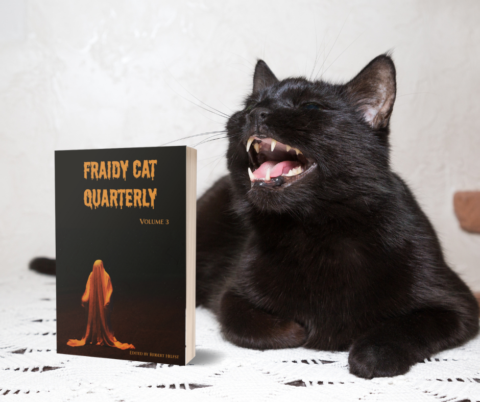 Fraidy Cat Quarterly: Volume 3 (includes ebook) image 6
