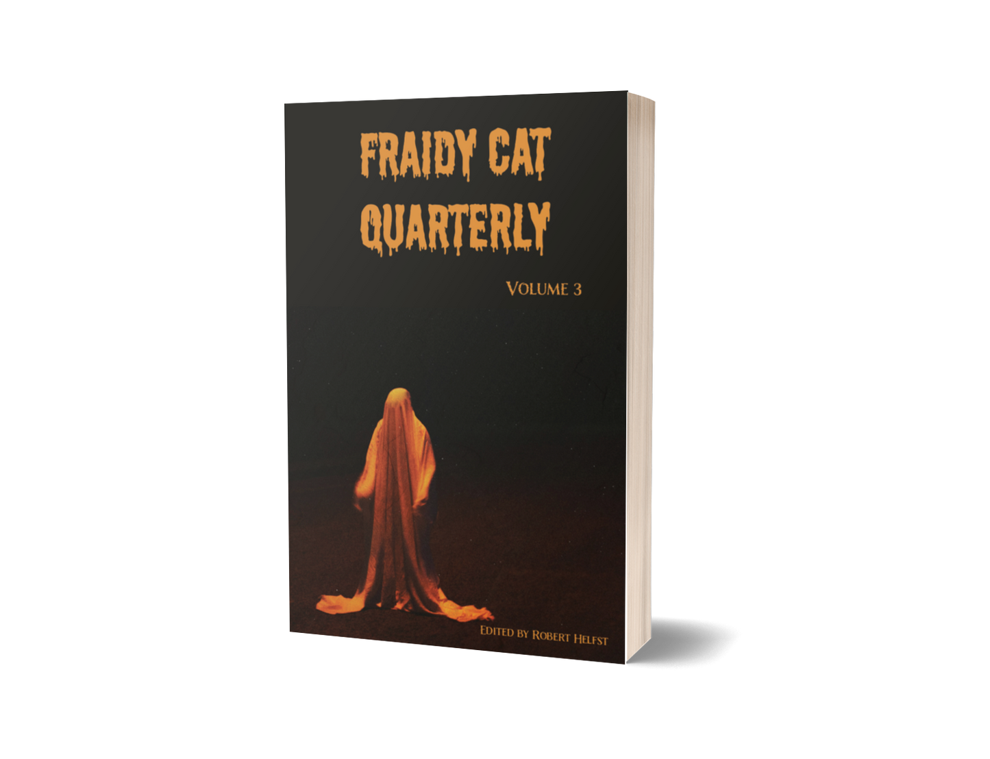 Fraidy Cat Quarterly: Volume 3 (includes ebook) image 8