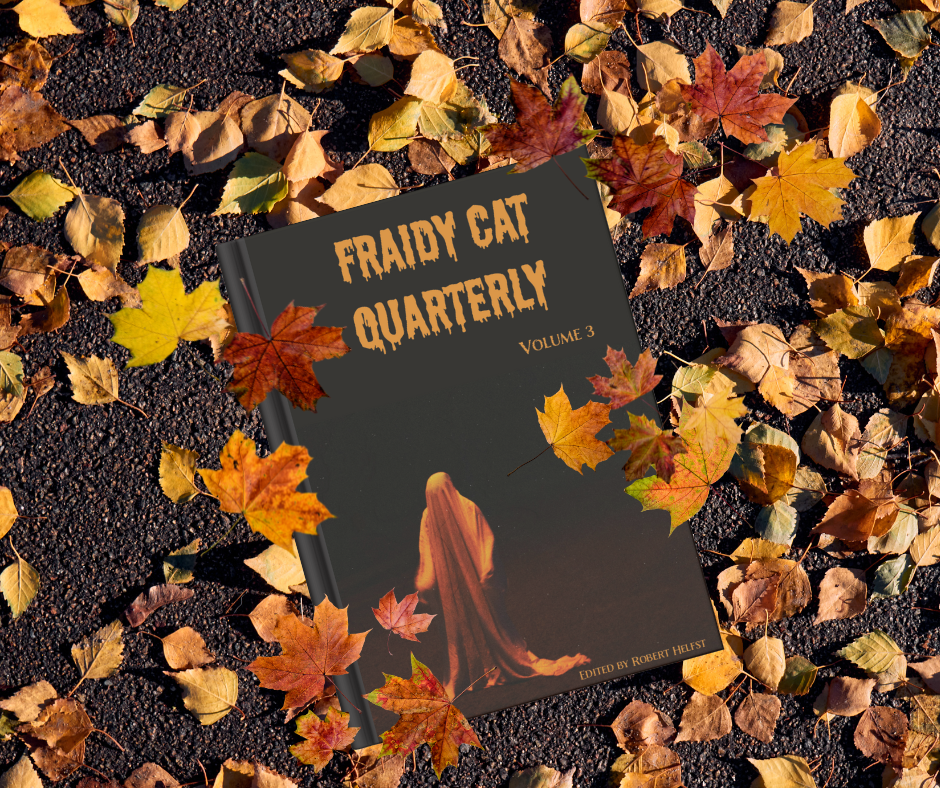 Fraidy Cat Quarterly: Volume 3 (includes ebook) image 3